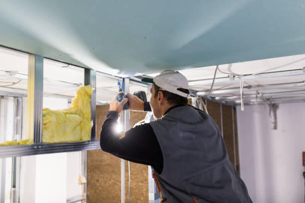 Best Insulation Repair Services  in Speer, NC