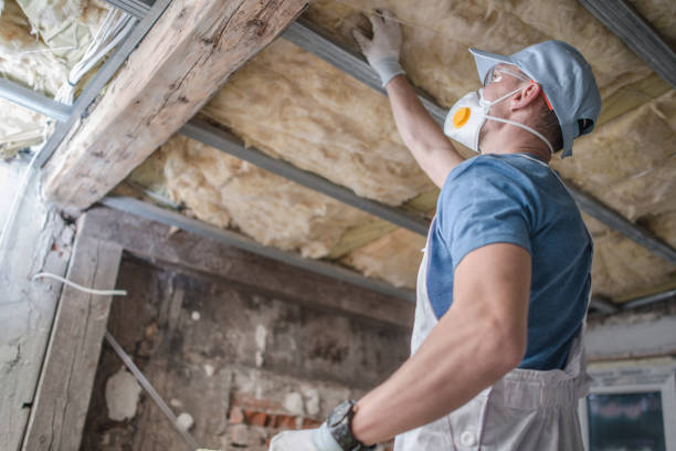 Best Cellulose Insulation  in Speer, NC