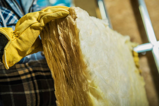 Best Insulation Replacement Services  in Speer, NC