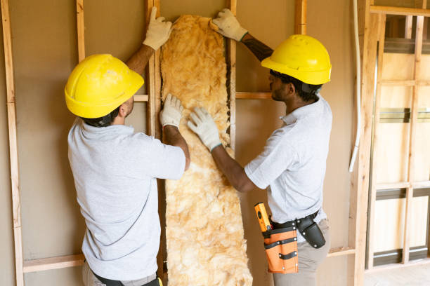 Best Professional Insulation Contractor  in Speer, NC