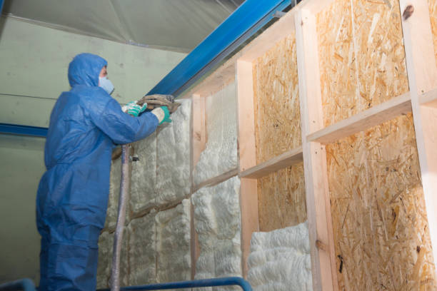 Best Home Insulation Services  in Speer, NC