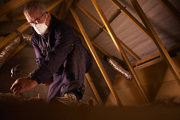 Best Insulation Inspection Services  in Speer, NC